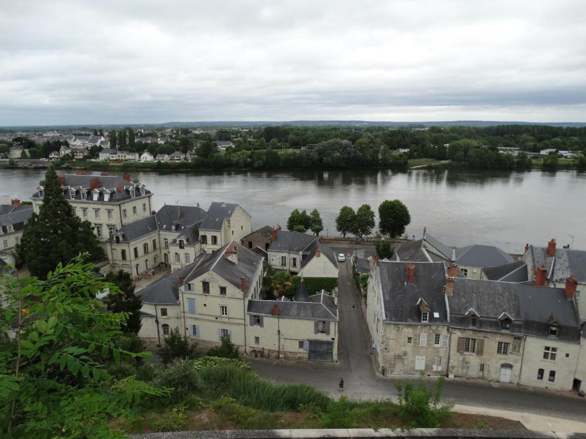 Vue Splendide Sur Chateau Saumur Eksteriør billede